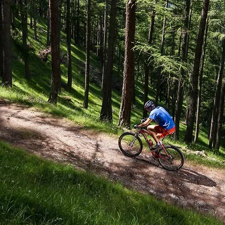 Apartmán Baita Skianta