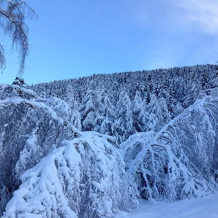 Baita Skianta Apartmán *