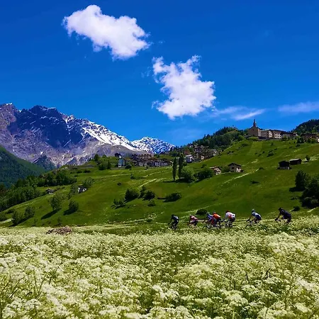 Skianta Appartamento